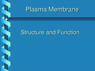 Plasma Membrane