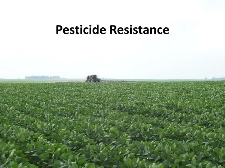 pesticide resistance