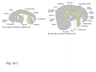 Fig. 16.1