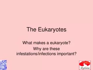 The Eukaryotes