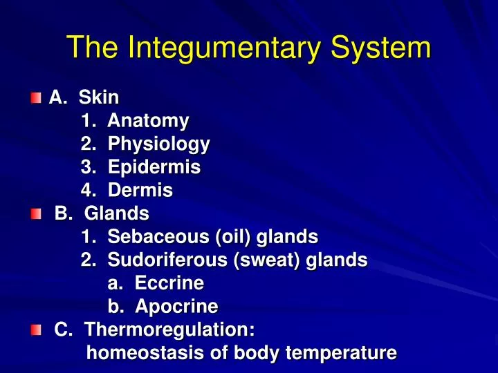 the integumentary system