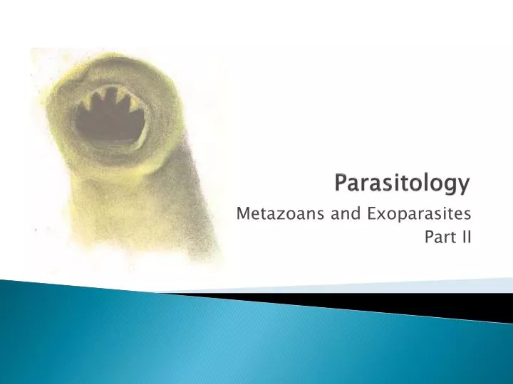 parasitology