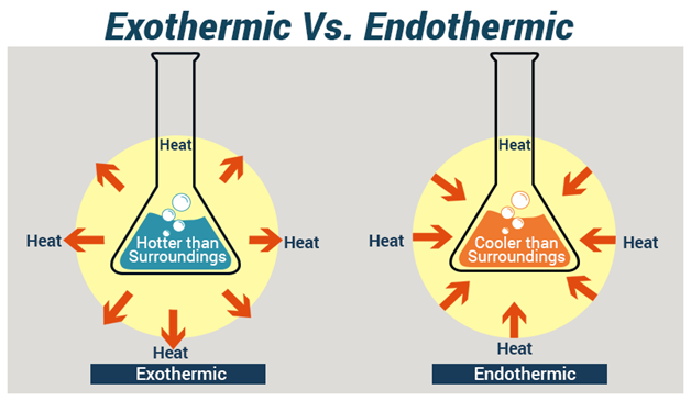 Compare Endothermic And Exothermic Reactions