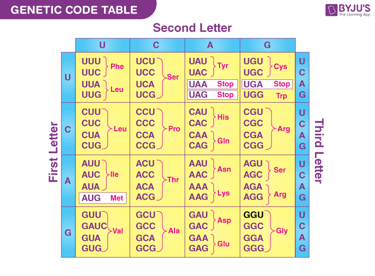 Genetic code table 1