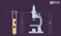 Chemical Reactions