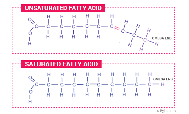 Chemical Makeup Of Fatty Acids - Mugeek Vidalondon