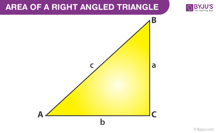 What is the Area of a Triangle?