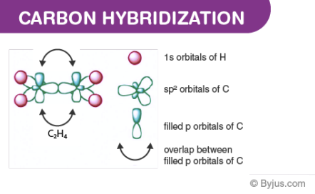 Hybridization of Carbon