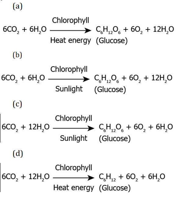 CBSE Class 10 Science MCQ Chapter 6 Life Processes-1