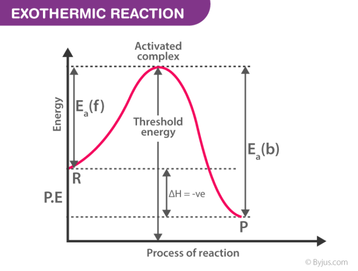 Exothermic Reaction With Catalyst