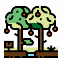 fruit, agriculture, farm, tree