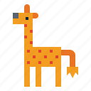 giraffe, life, mammal, wild, zoo