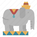 animal, circus, elephant, wild, zoo