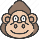 animal, animals, avatars, gorilla, nature, wildlife