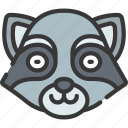 animal, animals, avatars, nature, raccoon, wildlife