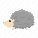 animal, cute, hedgehog, spiny, toy