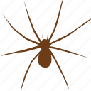 animal, bug, spider, animals, horror, scream, slider