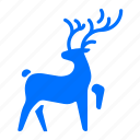 animal, deer, reindeer, wildlife