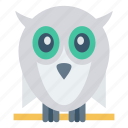 animal, bird, fly, owl, zoo