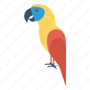 bird, fly, parrot, pet, zoo