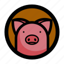 pig, animal, face, farm, piggy