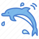 animal, animals, aquarium, aquatic, dolphin, fish