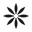 asterisk, flower, leaves, organisism, punctuation, spring, star