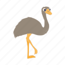 animal, bird, cartoon, feather, nature, ostrich, wild