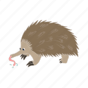 animal, anteater, cartoon, nature, tongue, wild, zoo