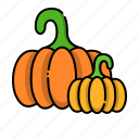 autumn, fall, halloween, pumpkin, vegetable