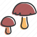 fungus, grow, healthy, mushroom, plant, shroom, vegetable