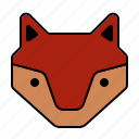 animal, face, fox, head