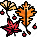 autumn, fall, garden, leaf, plant