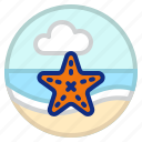 animal, ocean, sea, sea star, starfish