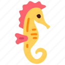 seahorse, hippocampus, animal, ocean