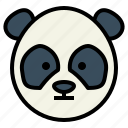 panda, bear, wildlife, mammal, animal