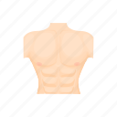 body, cartoon, chest, human, male, muscle, torso