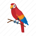 bird, brazil, cartoon, nature, orange, parrot, tropical