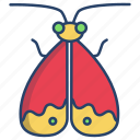 moth