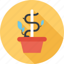 dollar, expand, flower, growth, investment, nature, plant