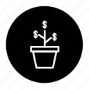 business, finance, growth, investment, money, plant