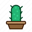 cactus, plant, nature, flower