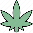 marijuana, cannabis, weed, leaf, nature, plant