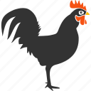 cock, hen, rooster, agriculture, bantam, bird, chicken