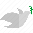 dove, freedom, olive, peace, pigeon