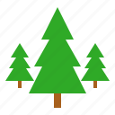 christmas, nature, pine, tree