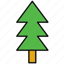 christmas, fir, flora, forest, nature, tree, xmas