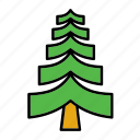 christmas, fir, flora, forest, nature, tree, xmas