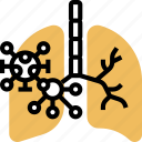 coronavirus, lung, infectious, pneumonia, inflammation