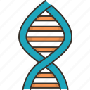 dna, gene, chromosome, medical, biological